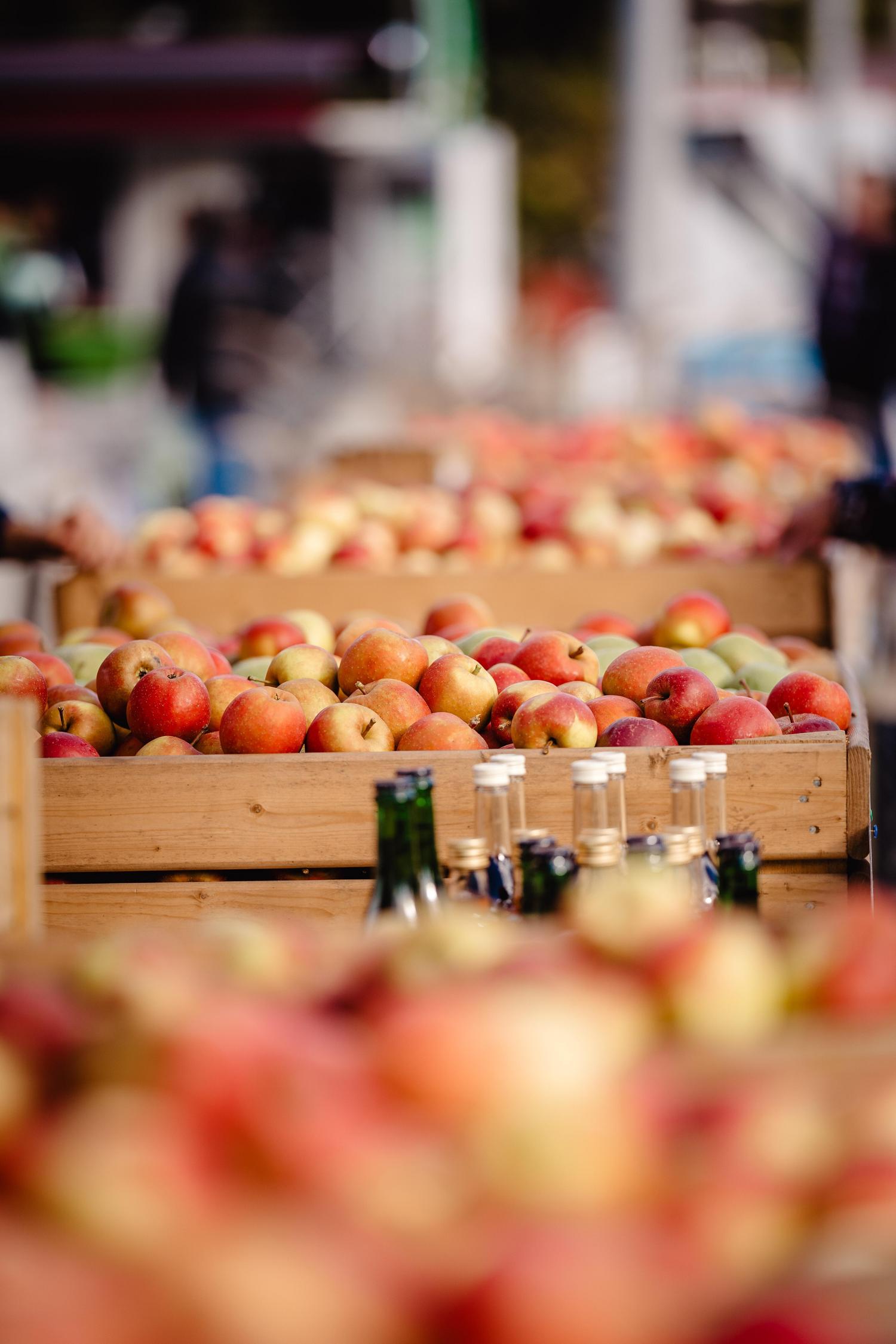 2022 10 16 KurT Bauernmarkt 026